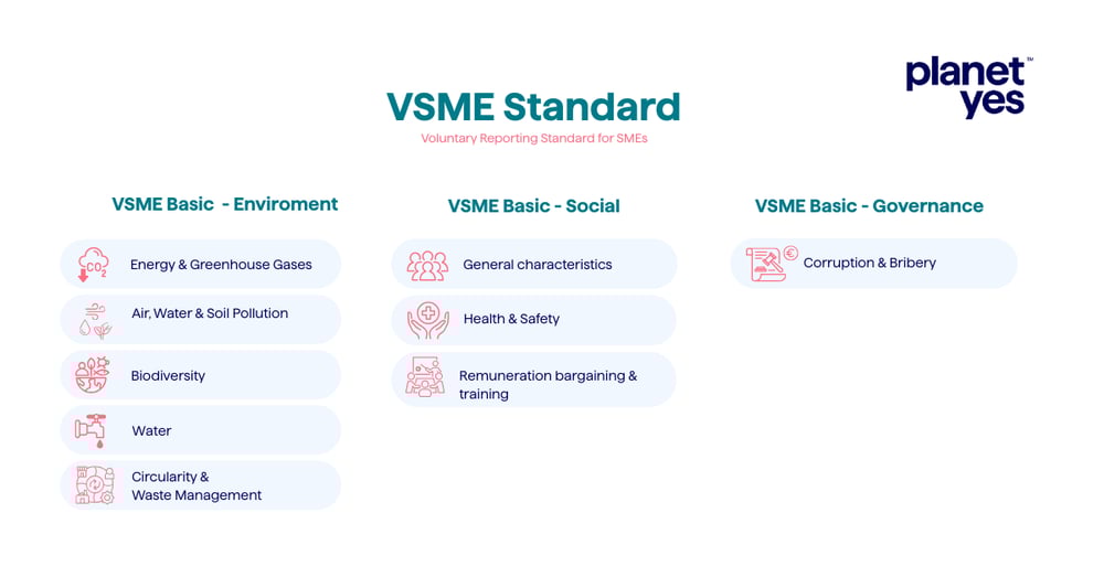 VSME Standard Infographic