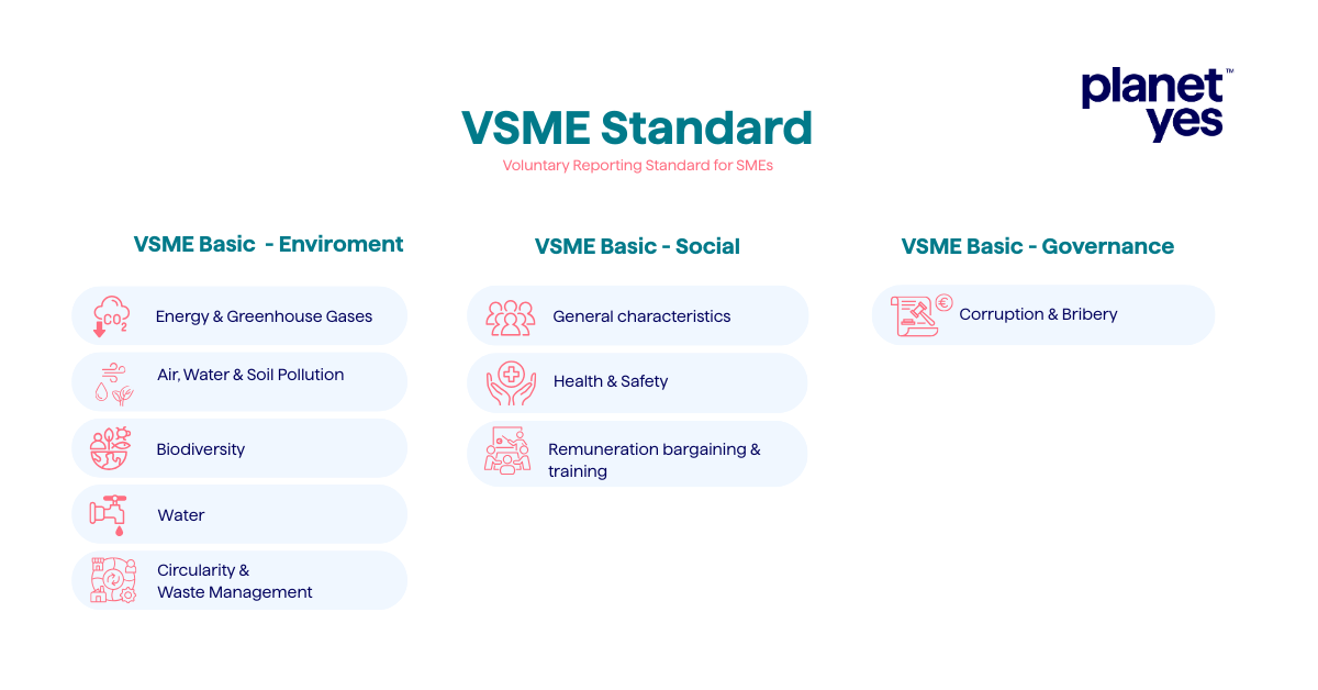 VSME Standard Infographic