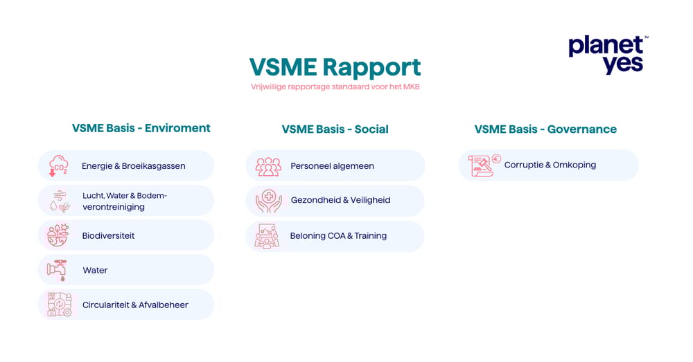 Wat is de VSME-Standaard?