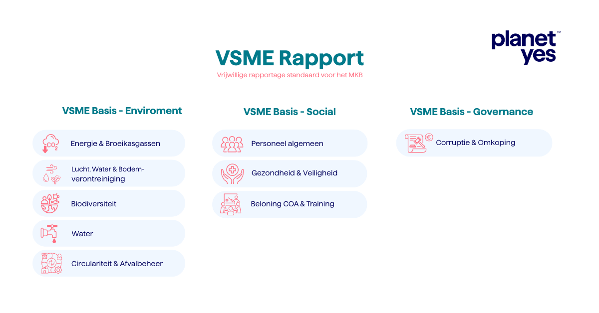 Vsme Rapper Wat is de VSME?
